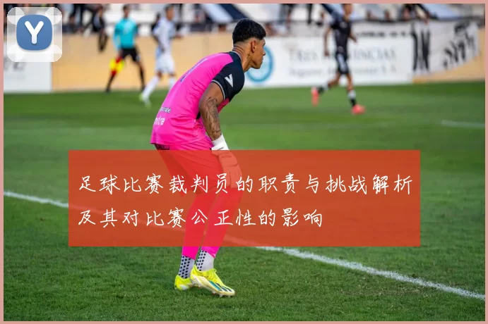 足球比赛裁判员的职责与挑战解析及其对比赛公正性的影响