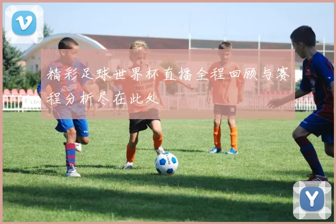 精彩足球世界杯直播全程回顾与赛程分析尽在此处