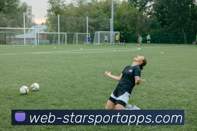 星空体育服务体系